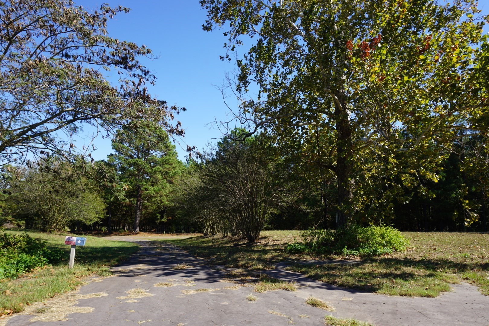 CR4301 Plainview Road Naples TX 75571