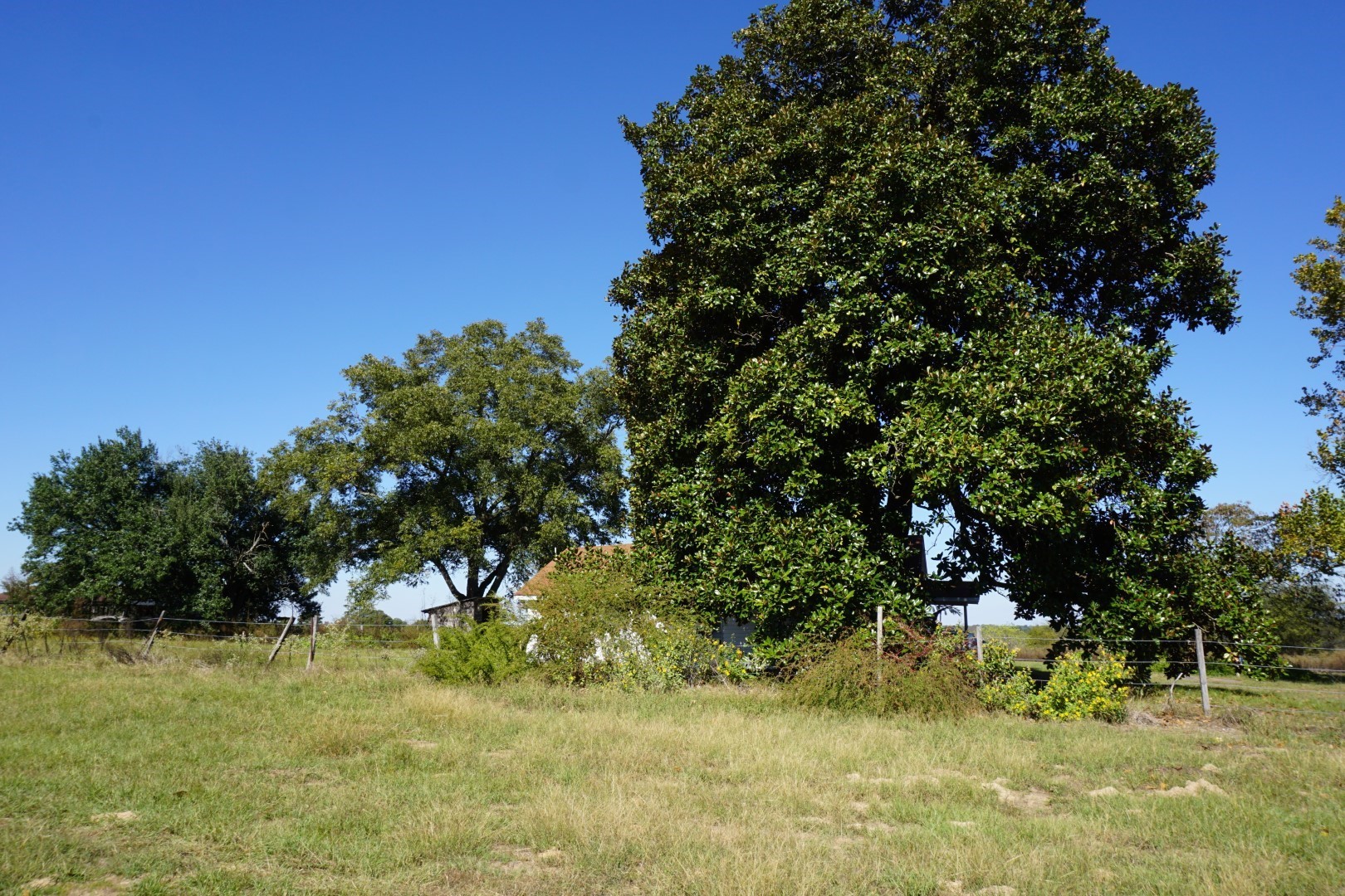 CR4301 Plainview Road Naples TX 75571