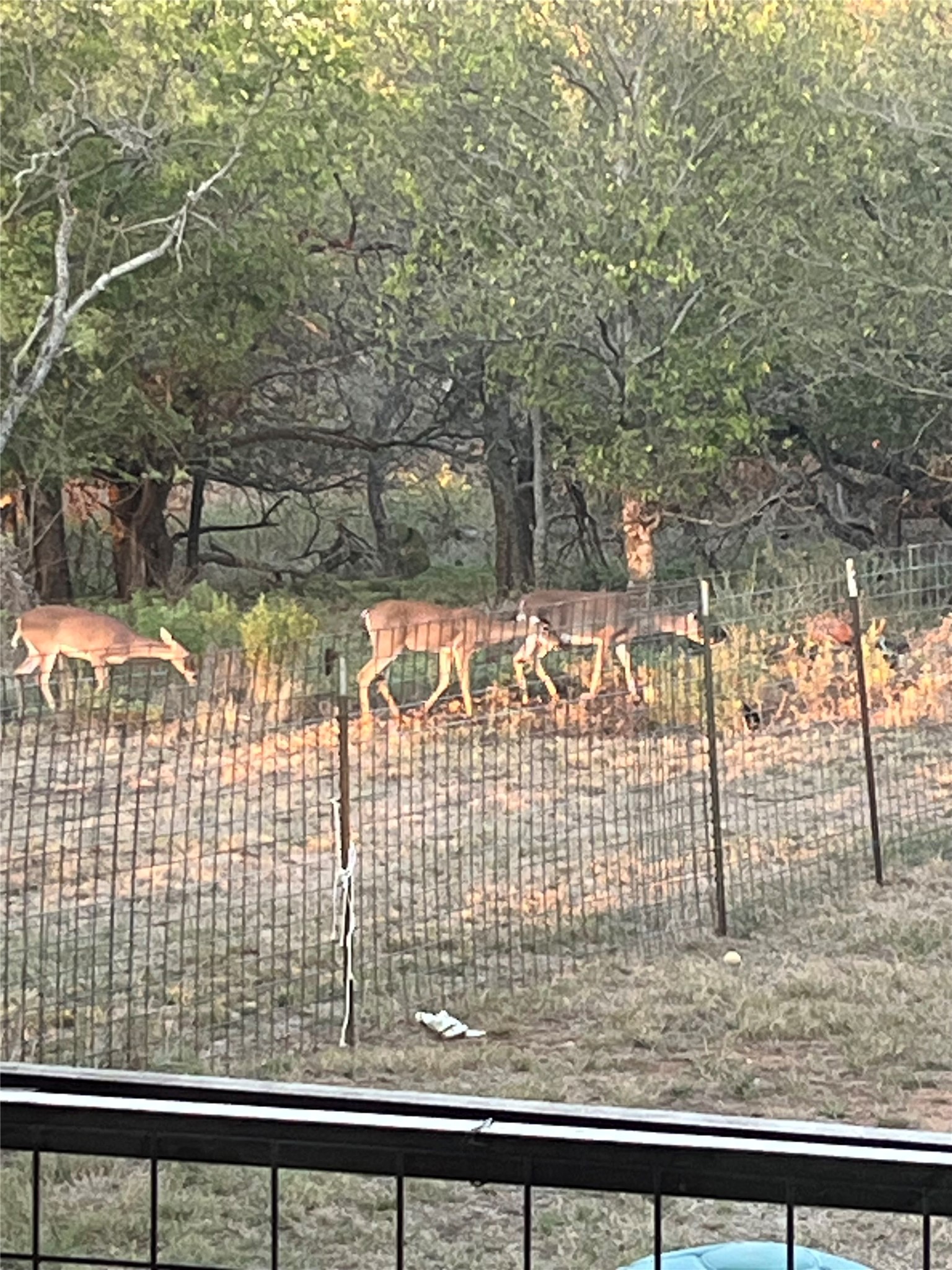 304 N Highway 6 Cisco TX 76437