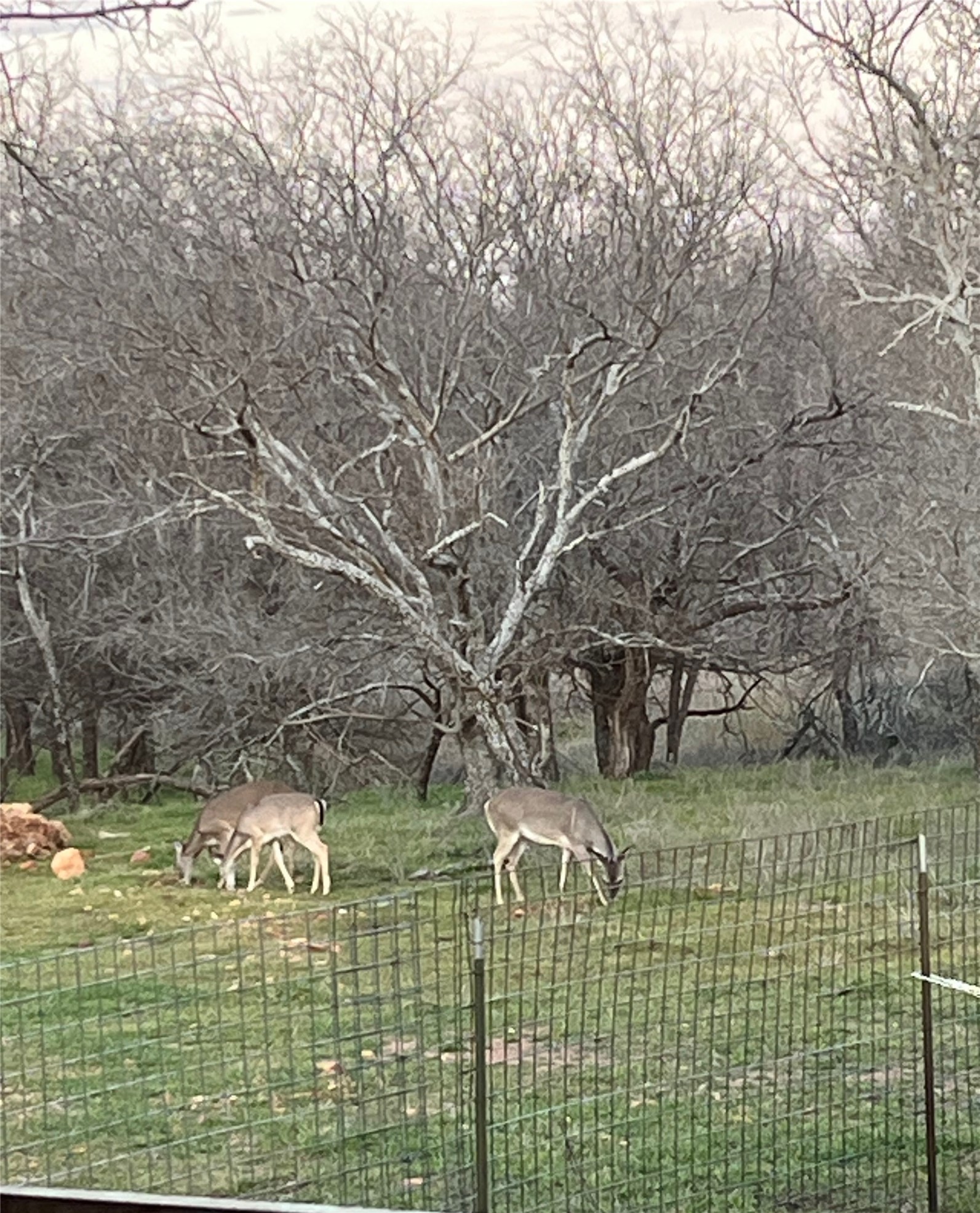 304 N Highway 6 Cisco TX 76437