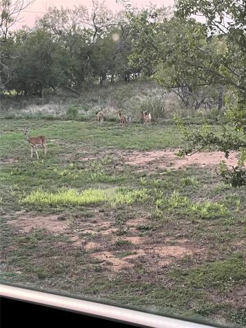 304 N Highway 6 Cisco TX 76437