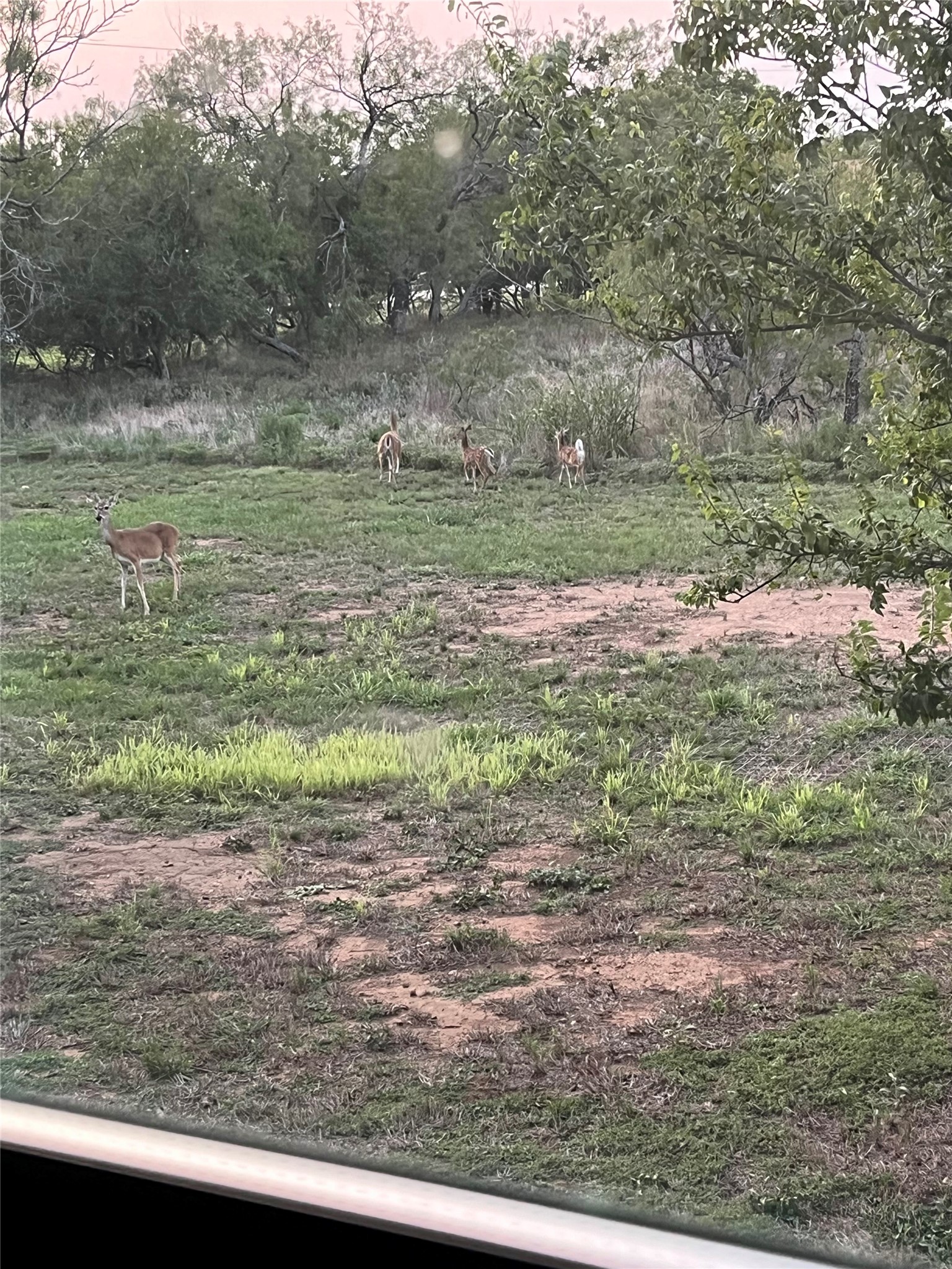 304 N Highway 6 Cisco TX 76437
