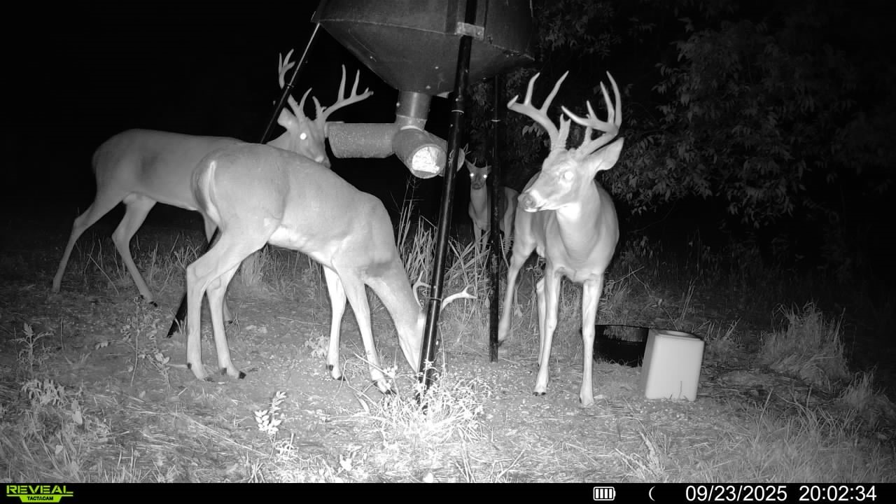 1932 County Road 222 Gainesville TX 76240