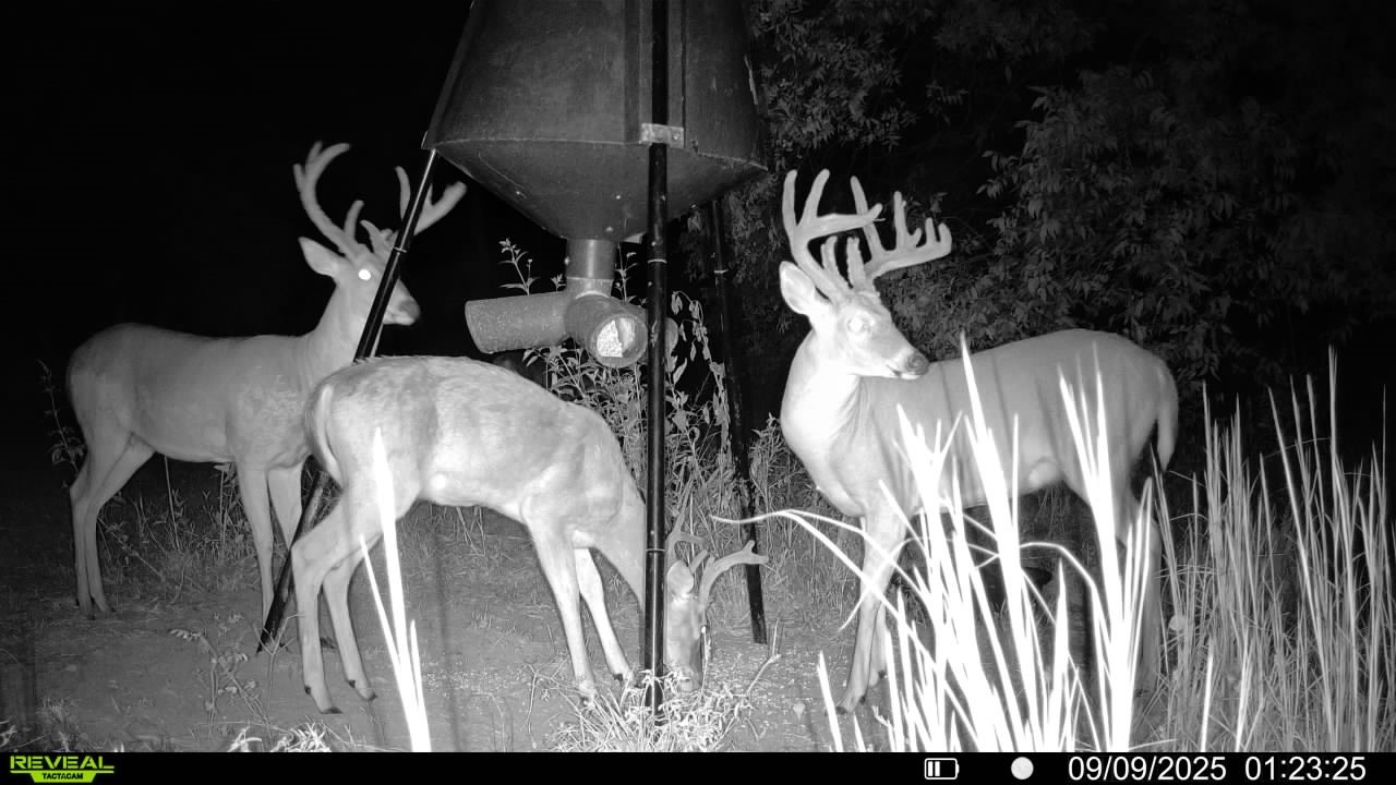 1932 County Road 222 Gainesville TX 76240