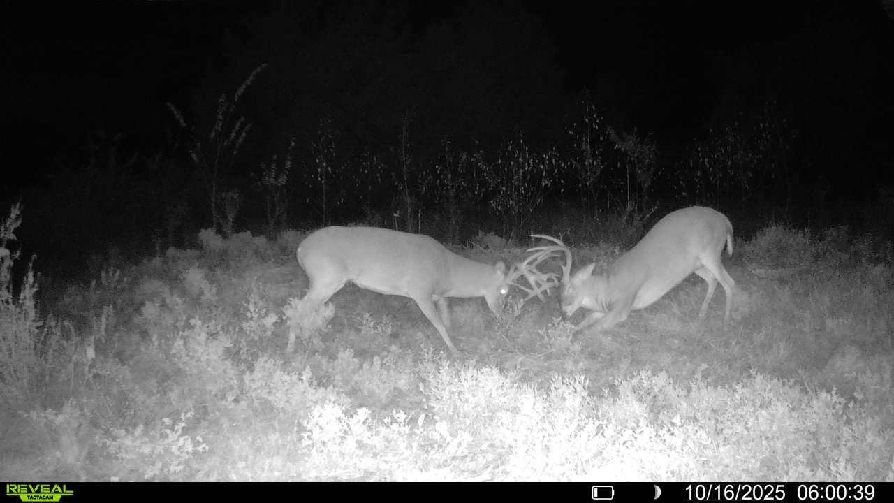 1932 County Road 222 Gainesville TX 76240