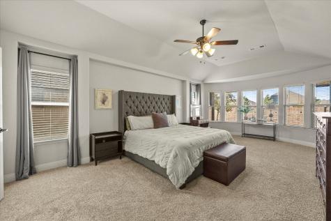 947 Mangrove Drive Fate TX 75087