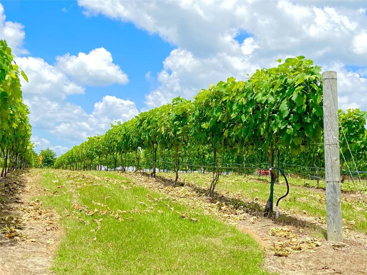 5518 State Highway 198 Canton TX 75103