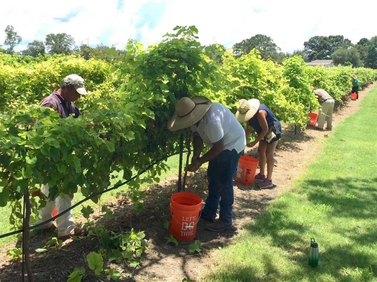 5518 State Highway 198 Canton TX 75103