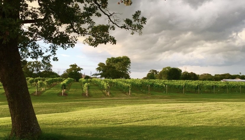 5518 State Highway 198 Canton TX 75103