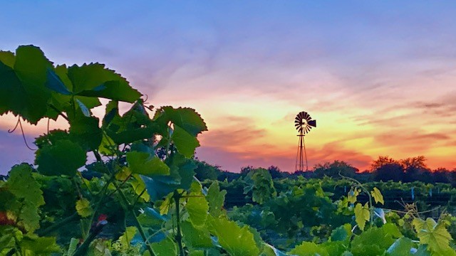 5518 State Highway 198 Canton TX 75103