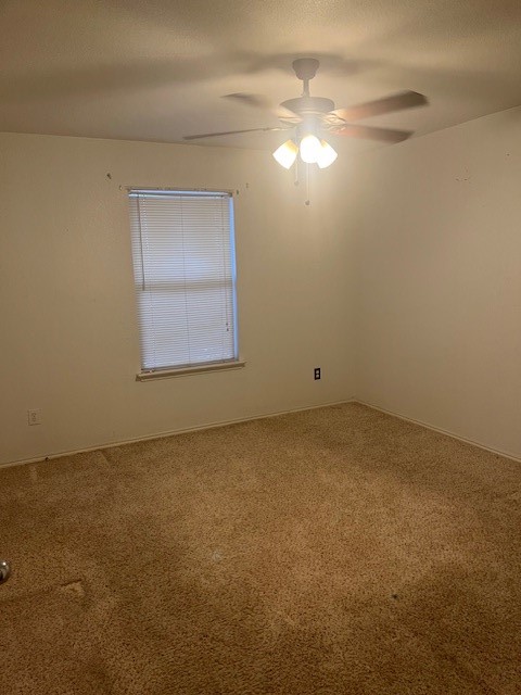 831 Parkside Drive Cedar Hill TX 75104