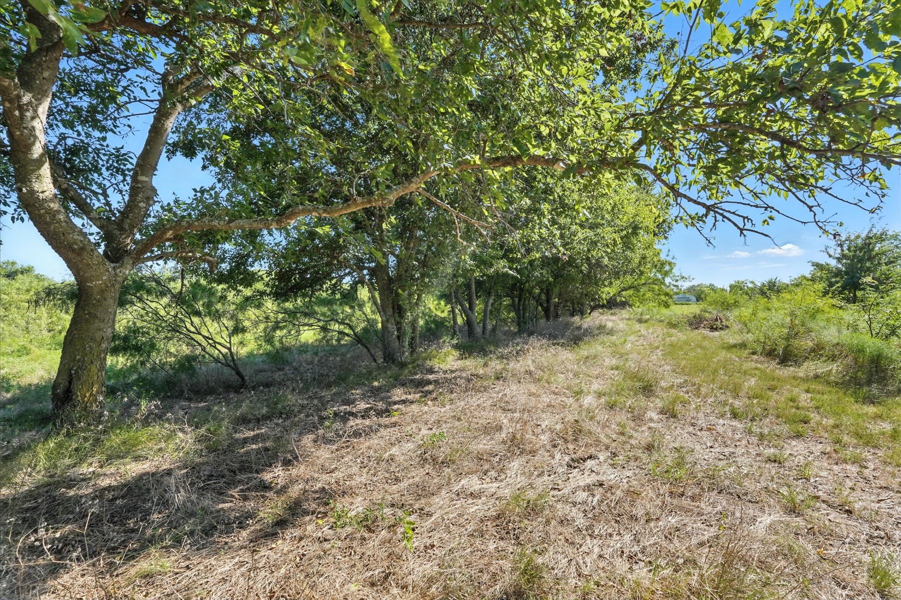 2300 Jessica Drive Mansfield TX 76063