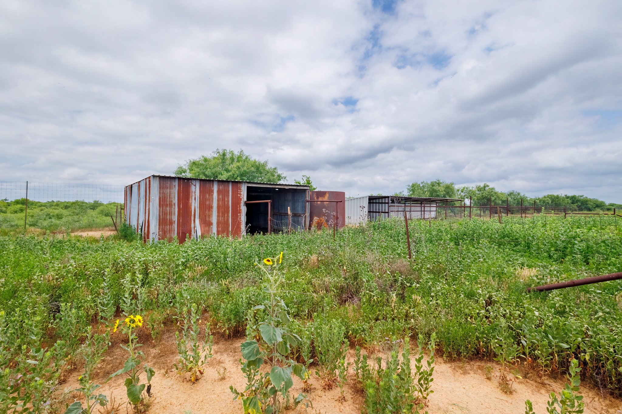 12759 Fm 1176 Santa Anna TX 76878