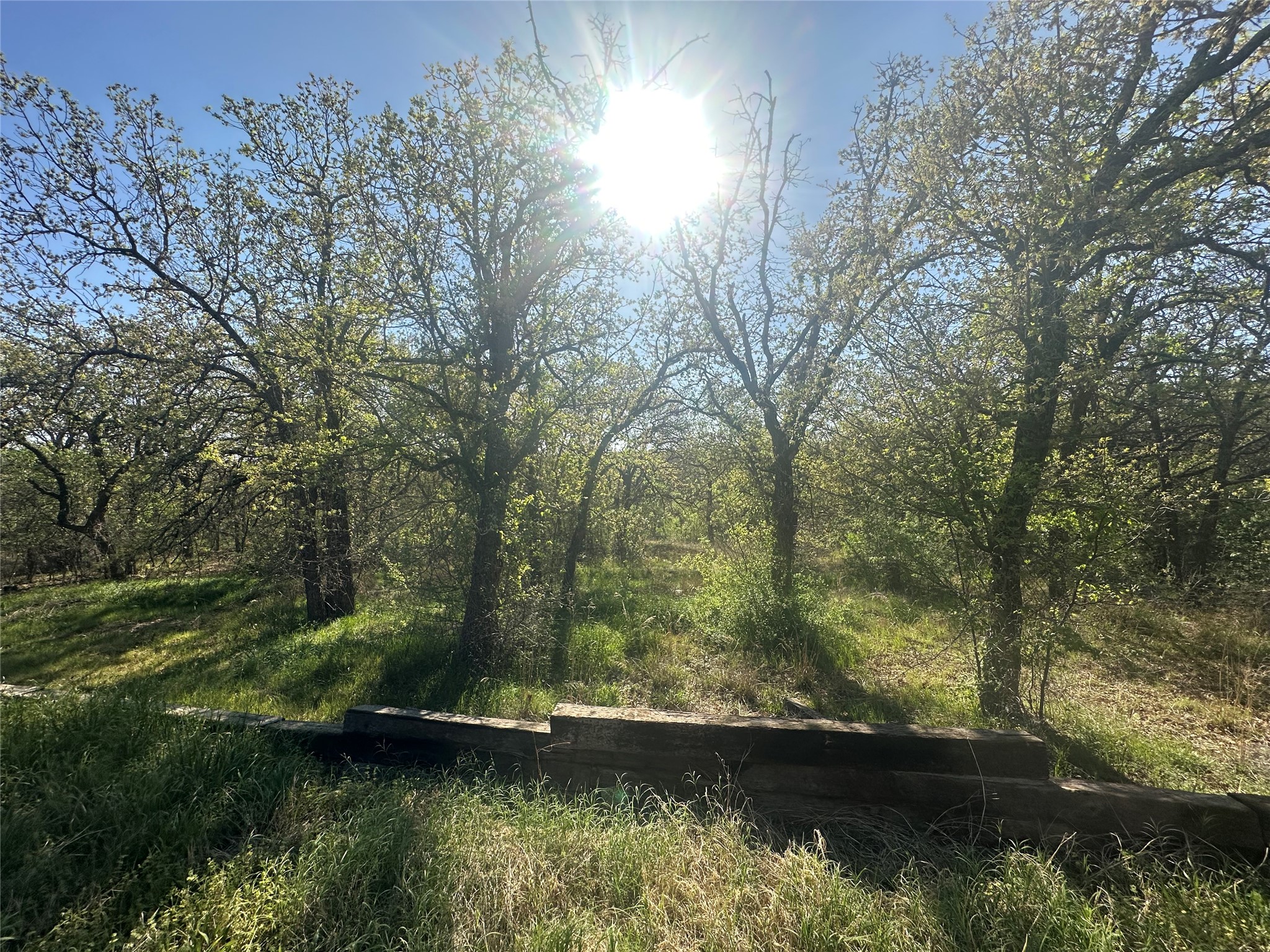 1550 Three Skillet Road Springtown TX 76082