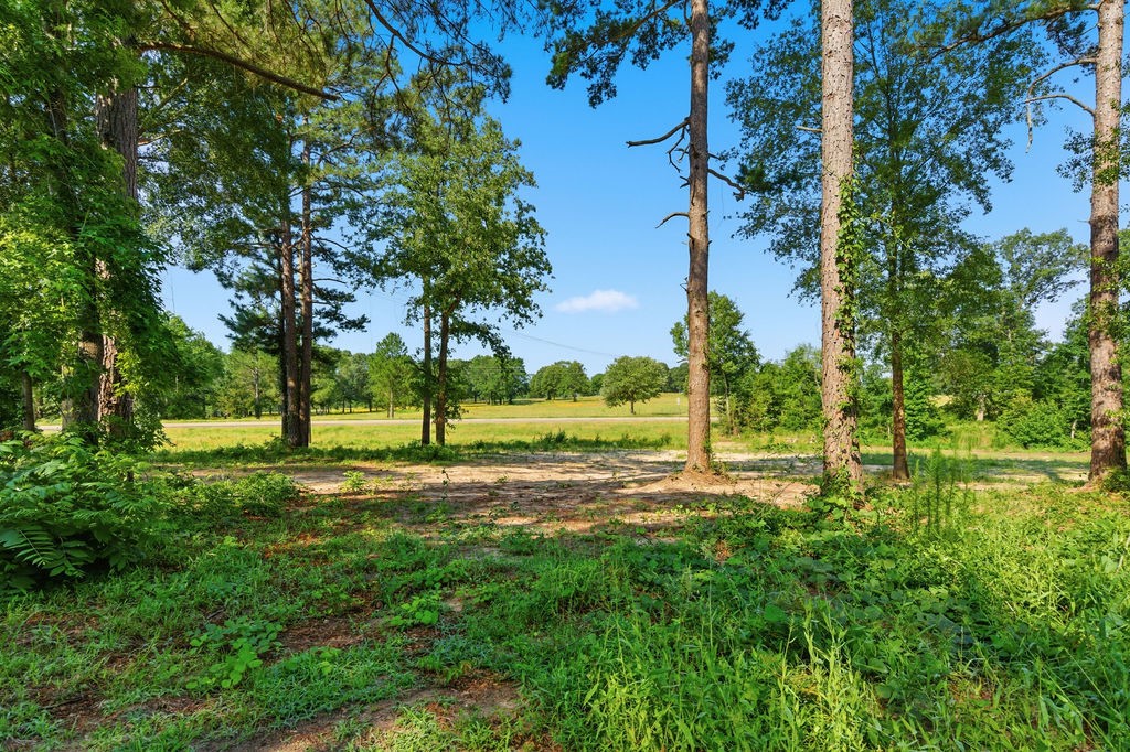 85 SE Cr 4305 Scroggins TX 75480
