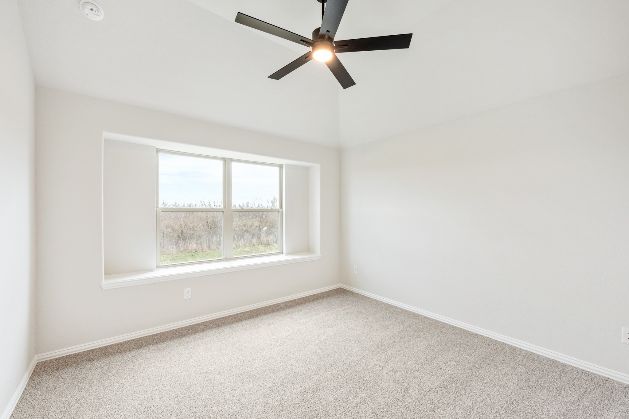 809 Willowbanks Drive Josephine TX 75173