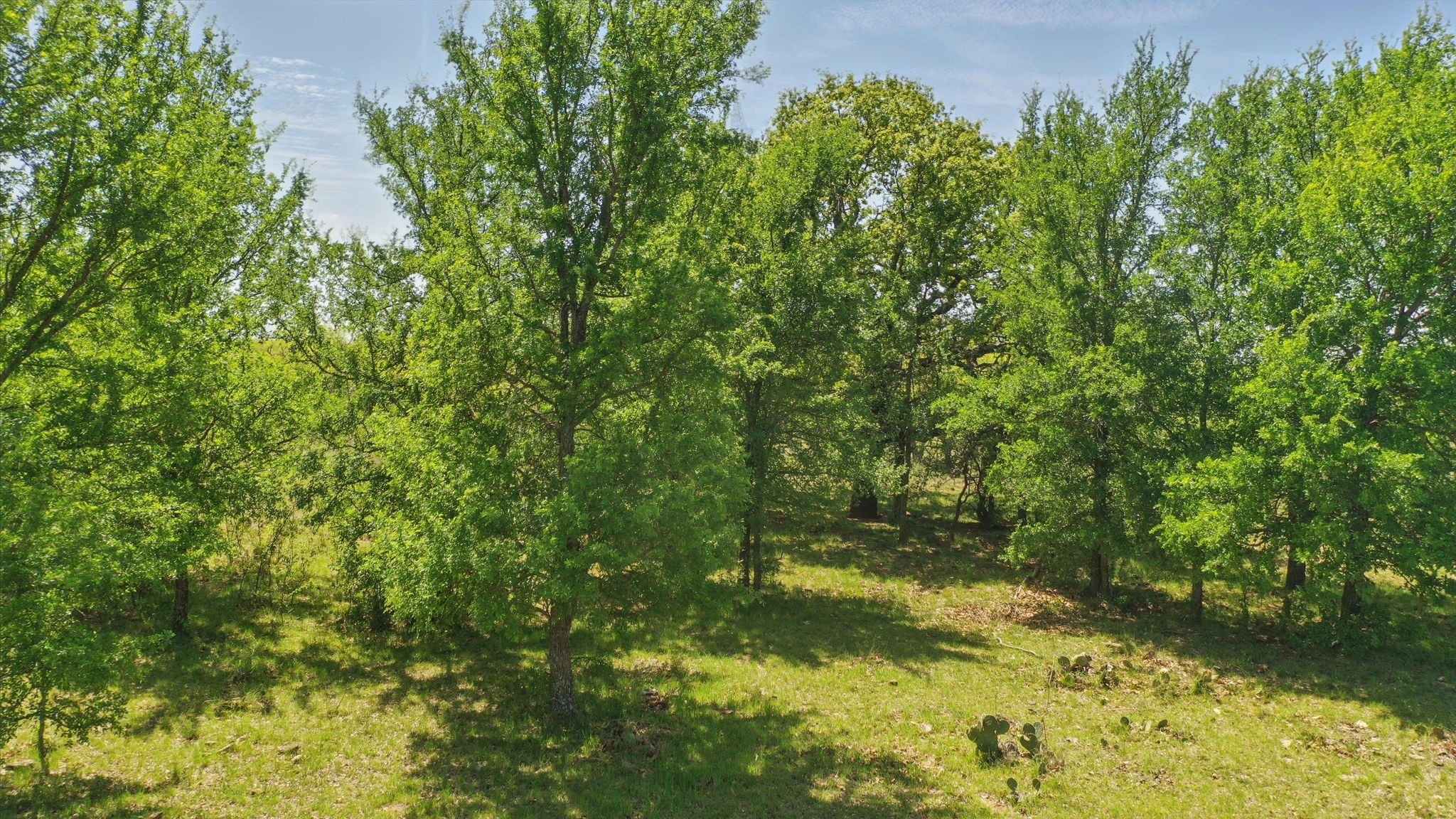 1359 County Road 195 Gorman TX 76454