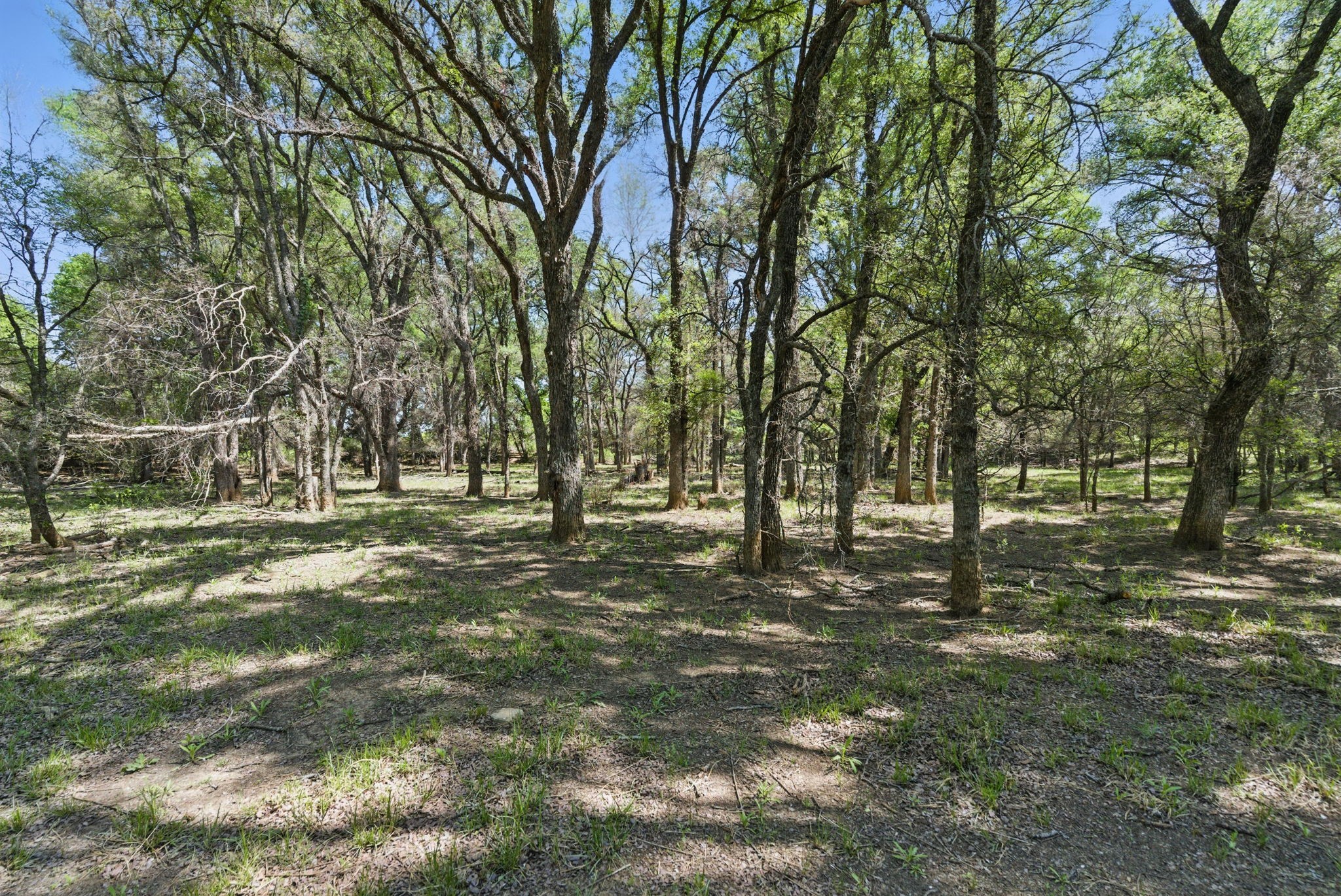 1359 County Road 195 Gorman TX 76454