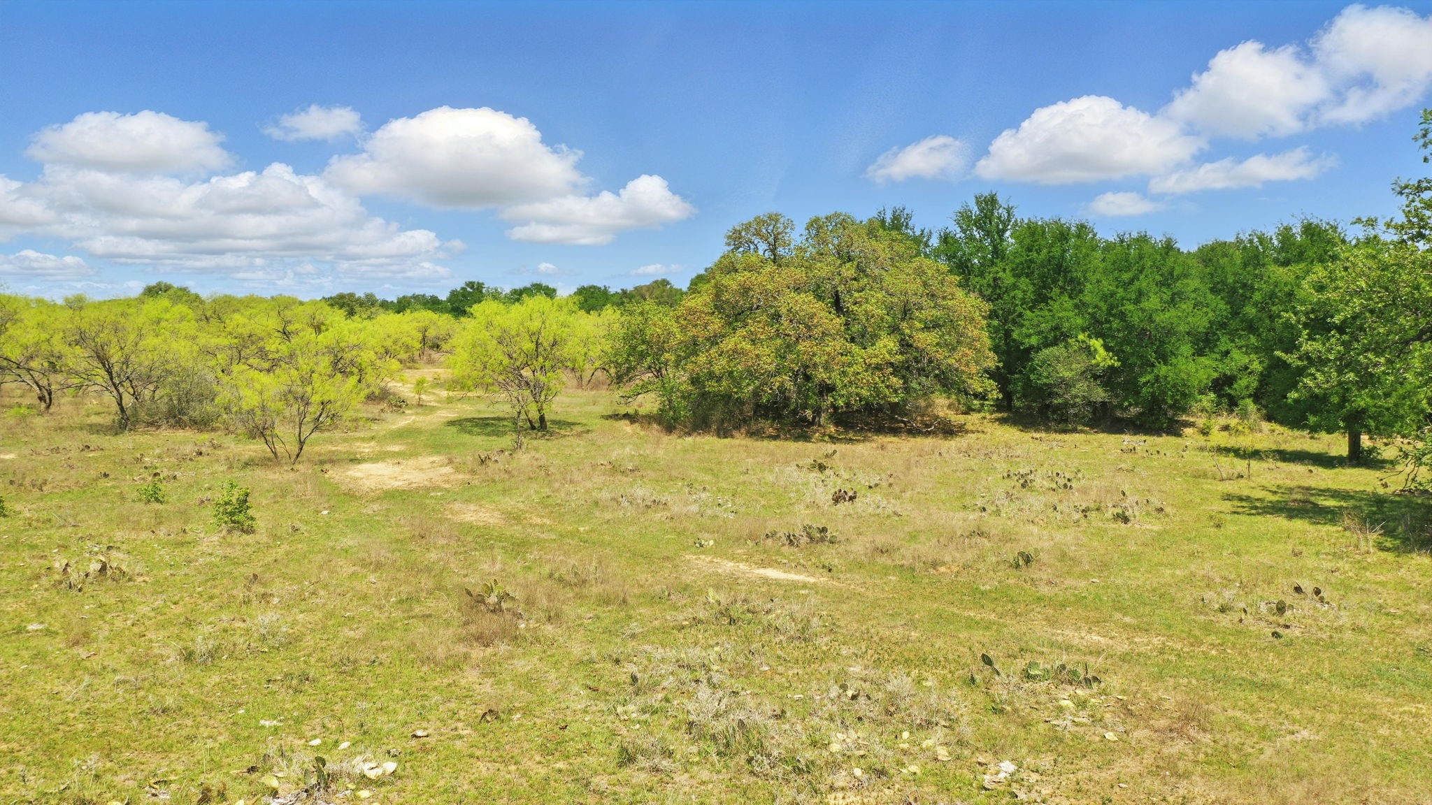 1359 County Road 195 Gorman TX 76454