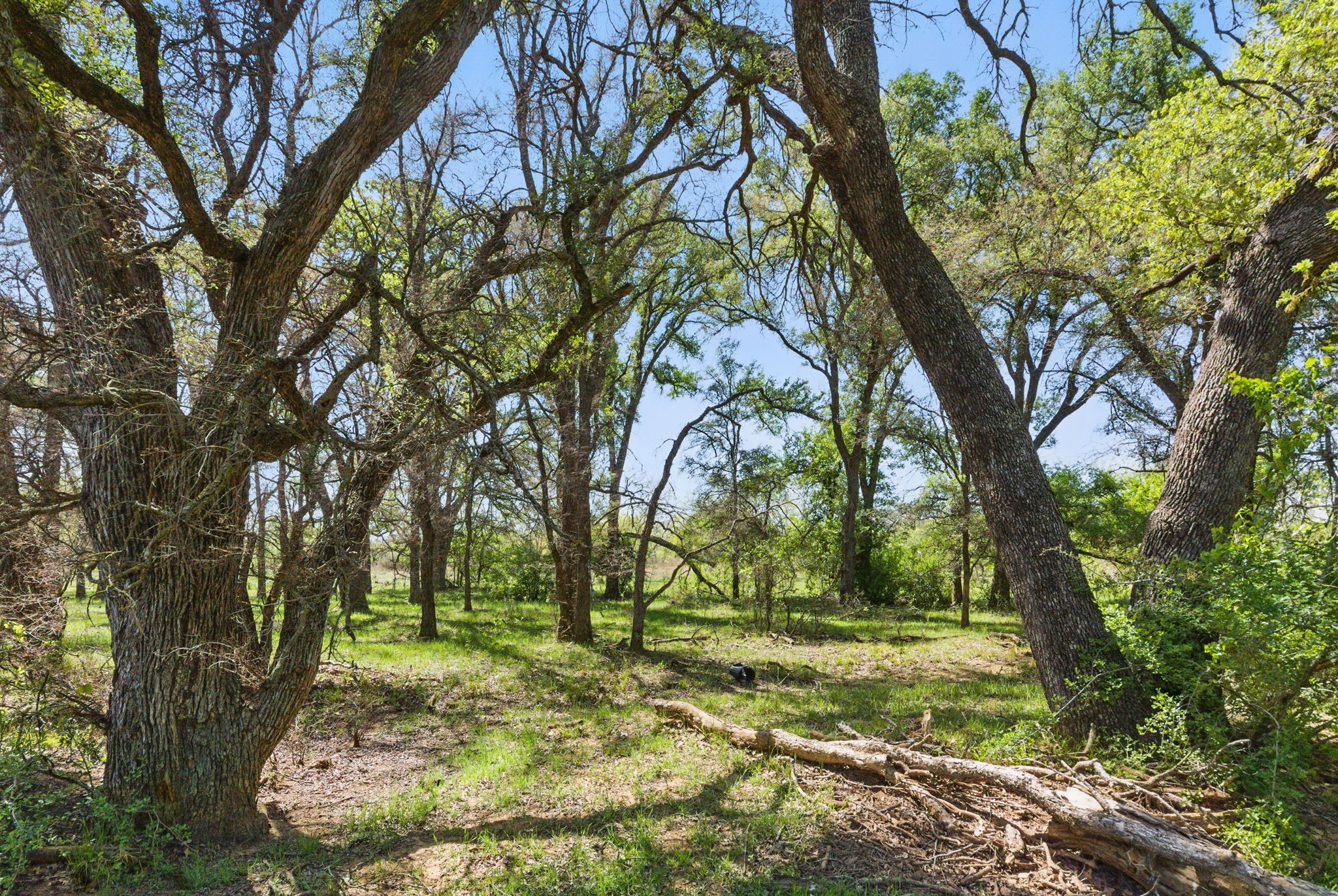 1359 County Road 195 Gorman TX 76454