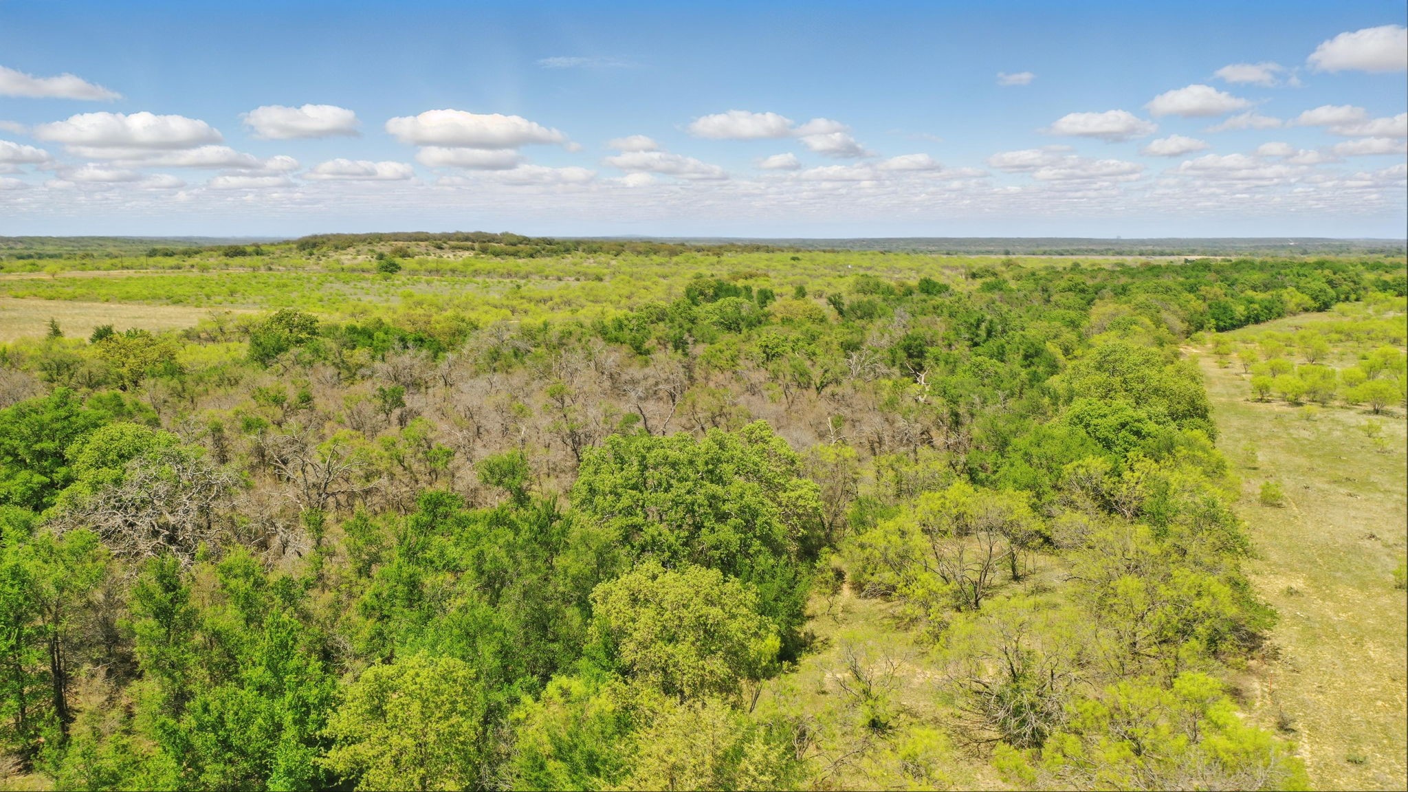 1359 County Road 195 Gorman TX 76454