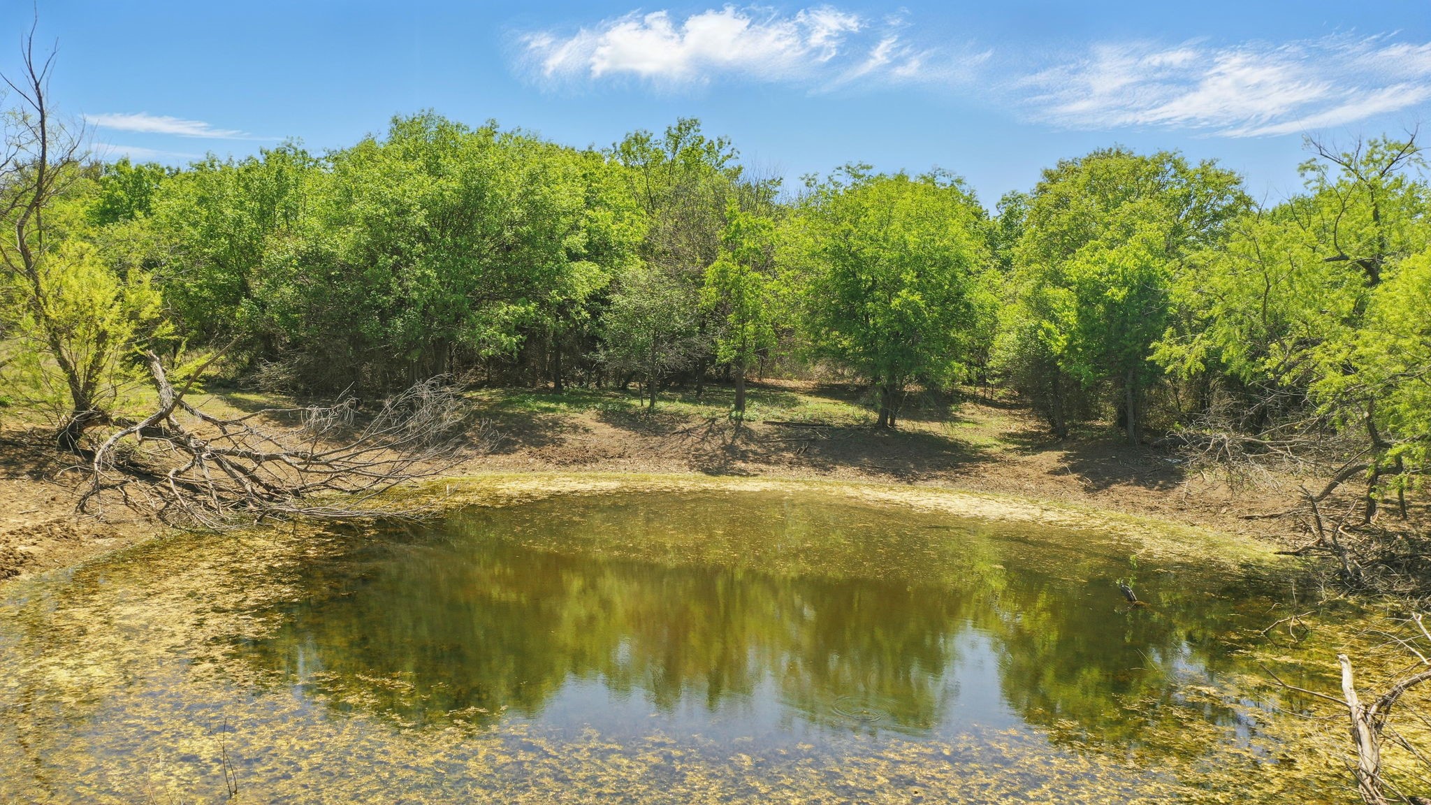 1359 County Road 195 Gorman TX 76454