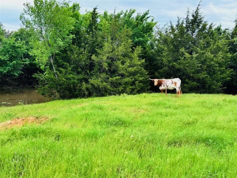 1919 County Road 4371 Decatur TX 76234