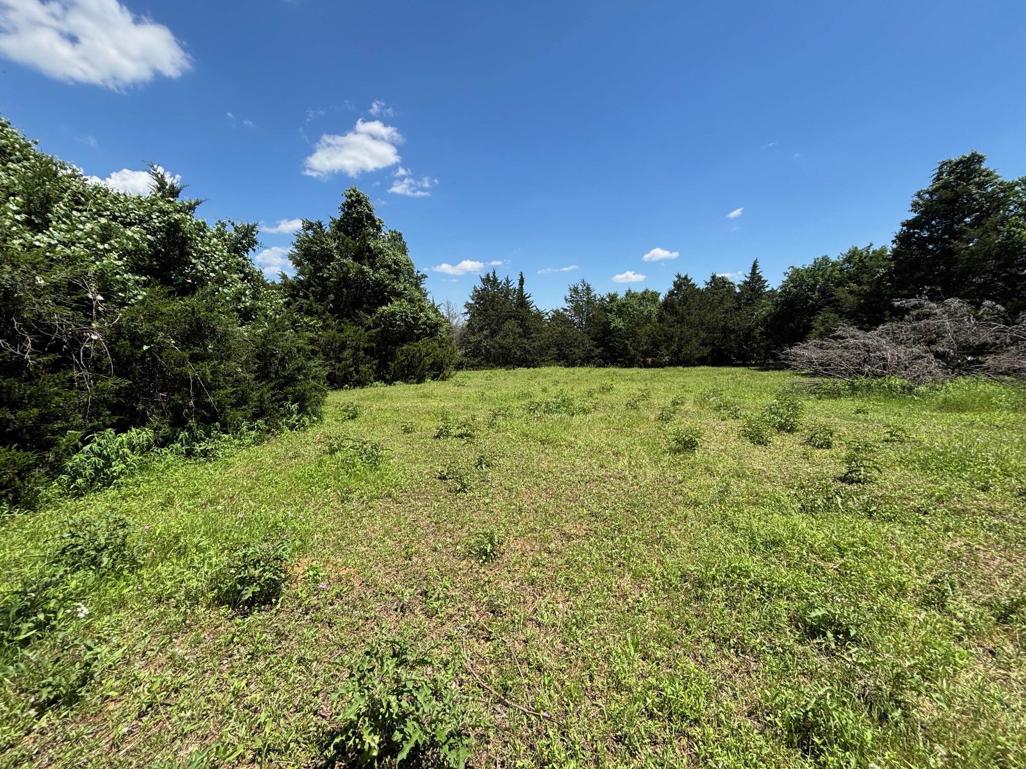 1919 County Road 4371 Decatur TX 76234