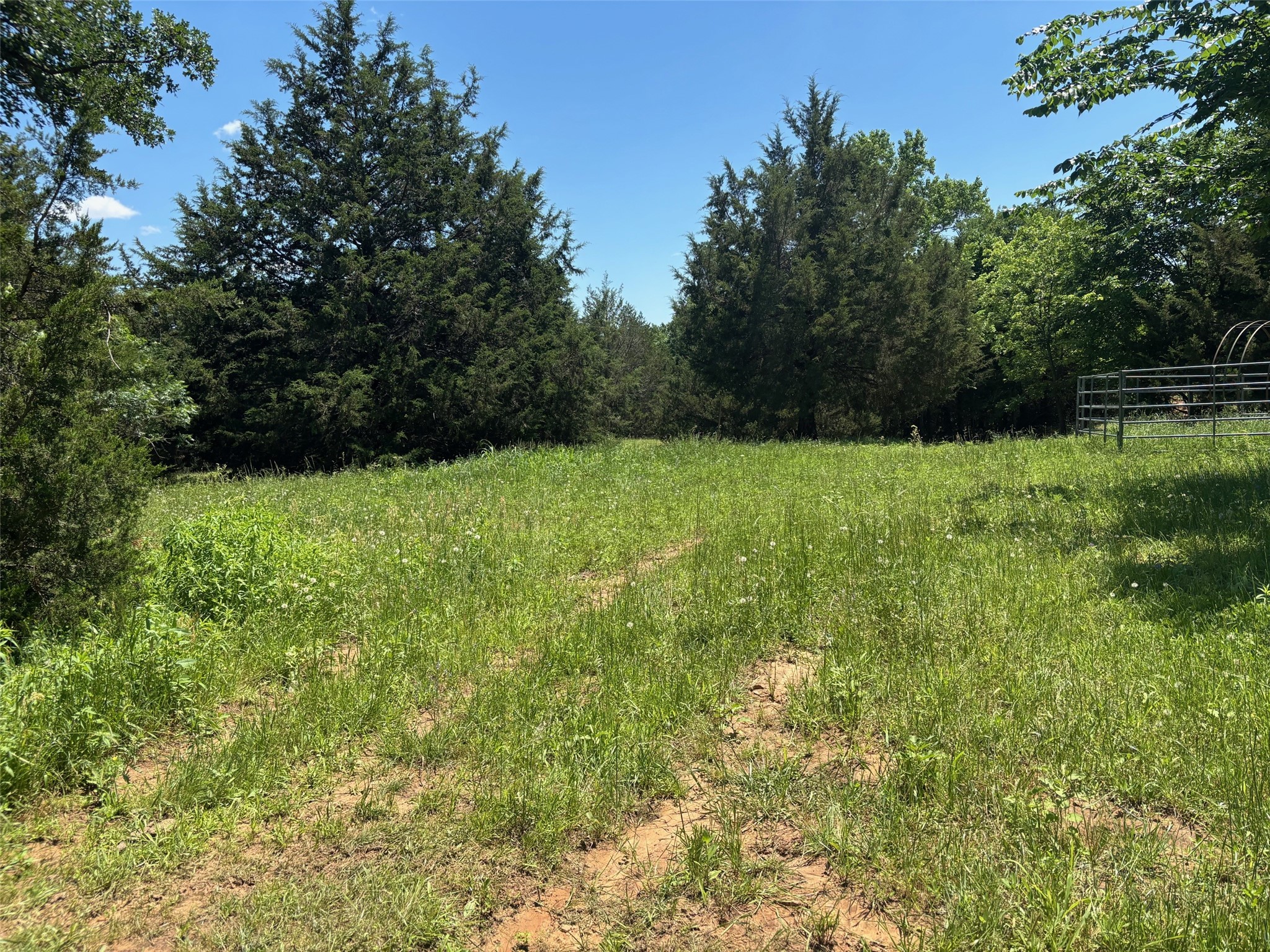 1919 County Road 4371 Decatur TX 76234