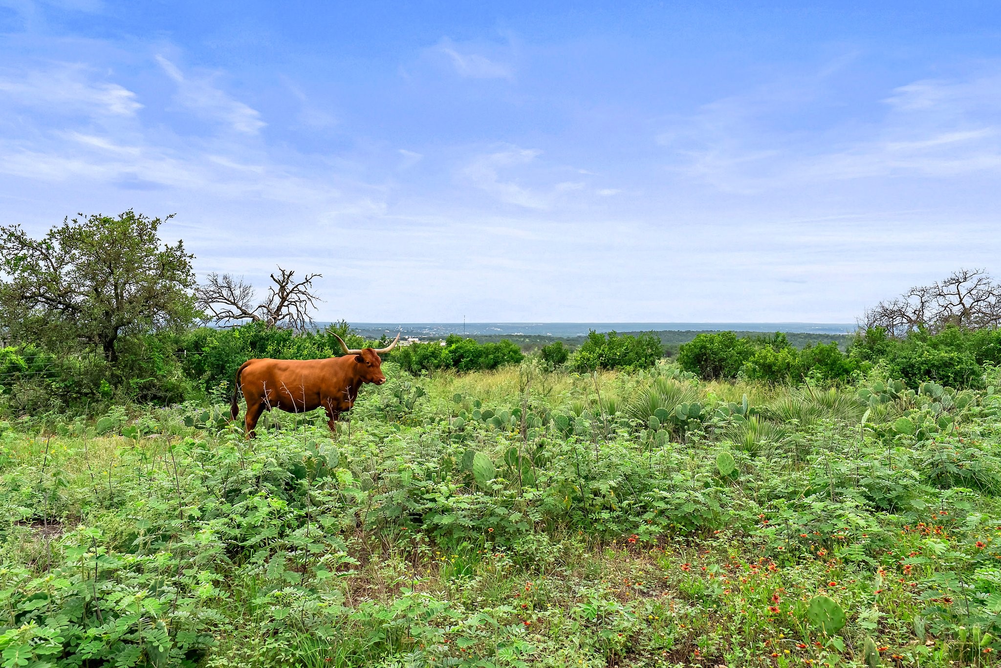 101 Starhorn Road Marble Falls TX 78654