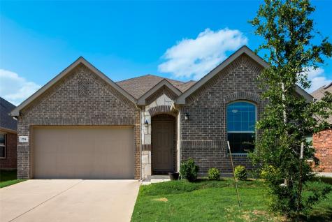 1214 Timberfalls Drive Anna TX 75409