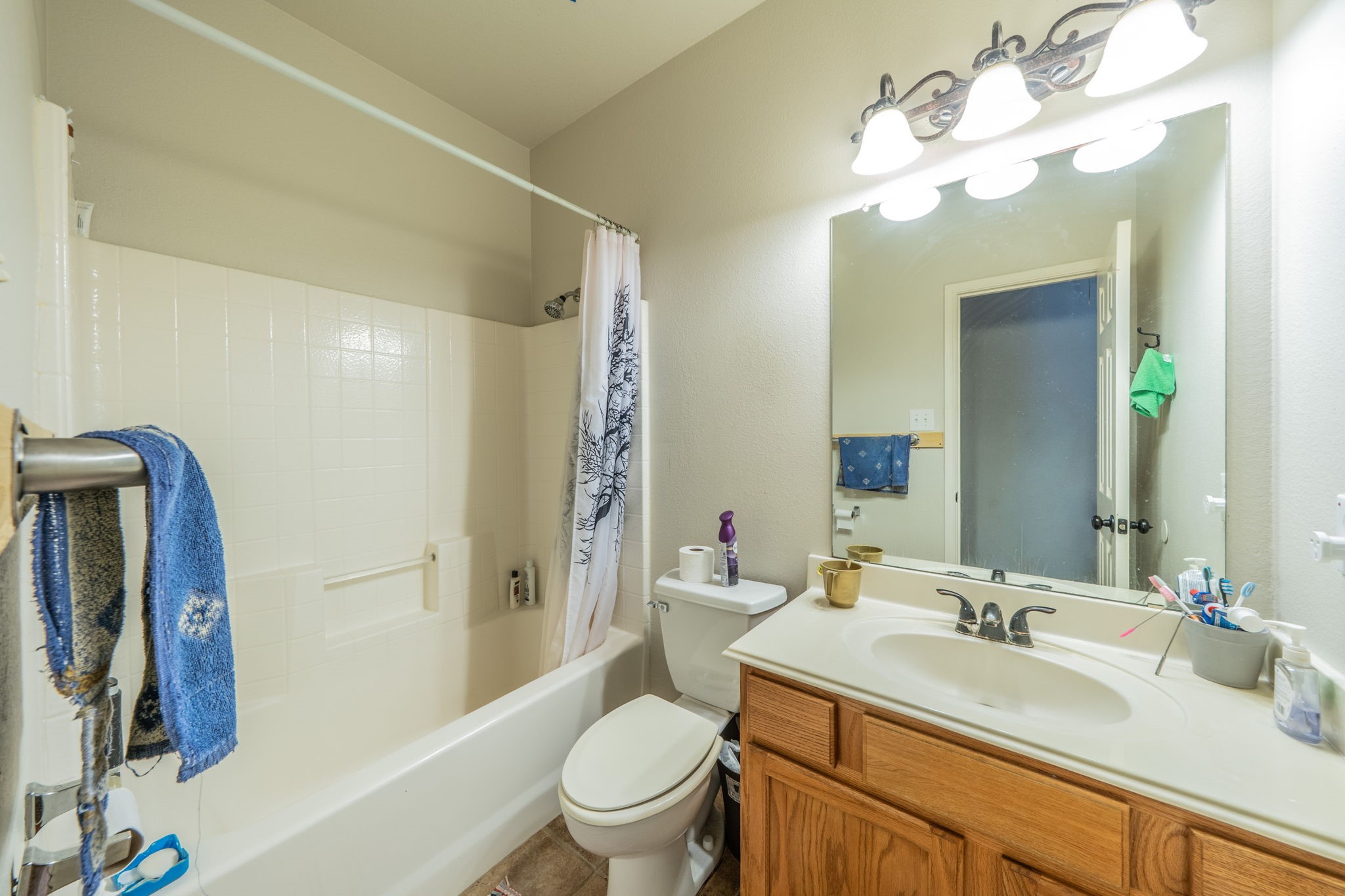 14609 Little Anne Drive Little Elm TX 75068