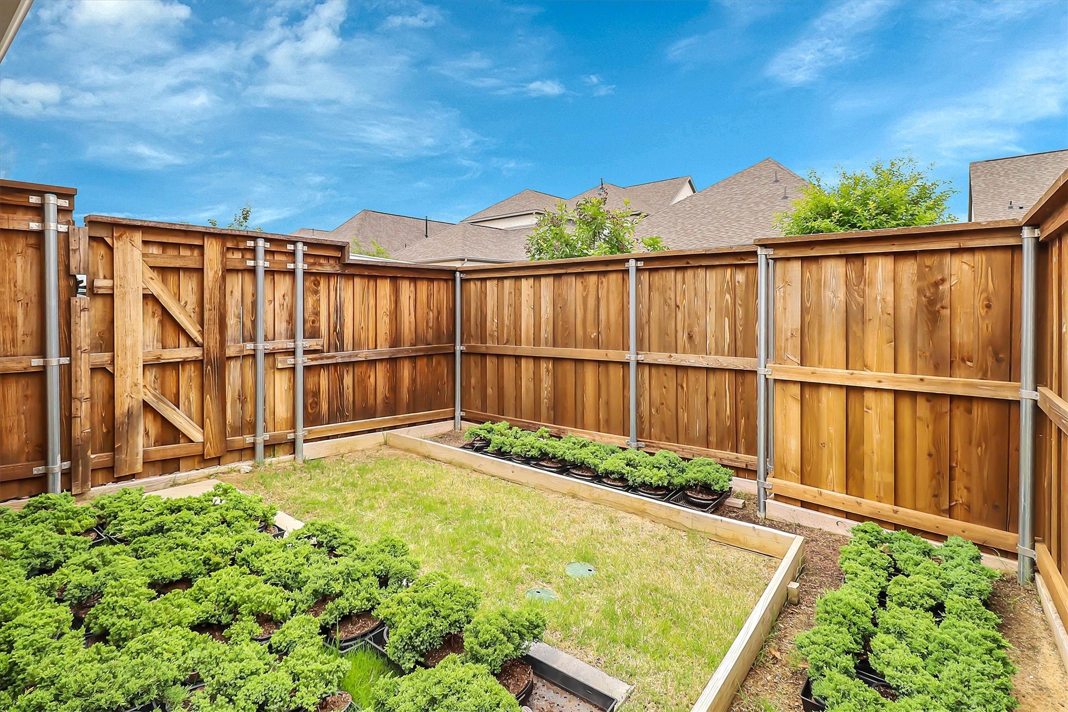 8529 Melrose The Colony TX 75056