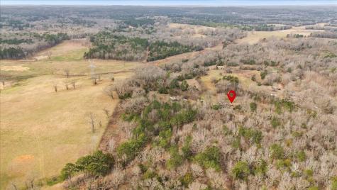 2605 Vz County Road 4923 Ben Wheeler TX 75754