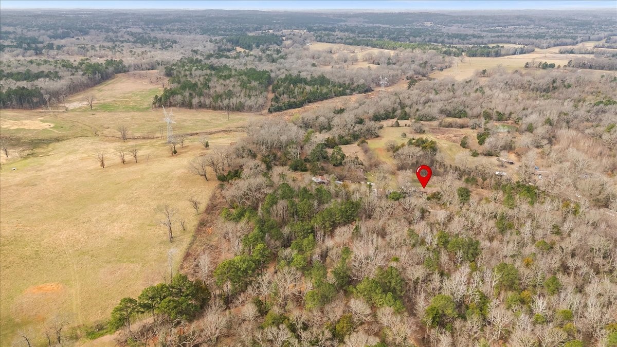 2605 Vz County Road 4923 Ben Wheeler TX 75754