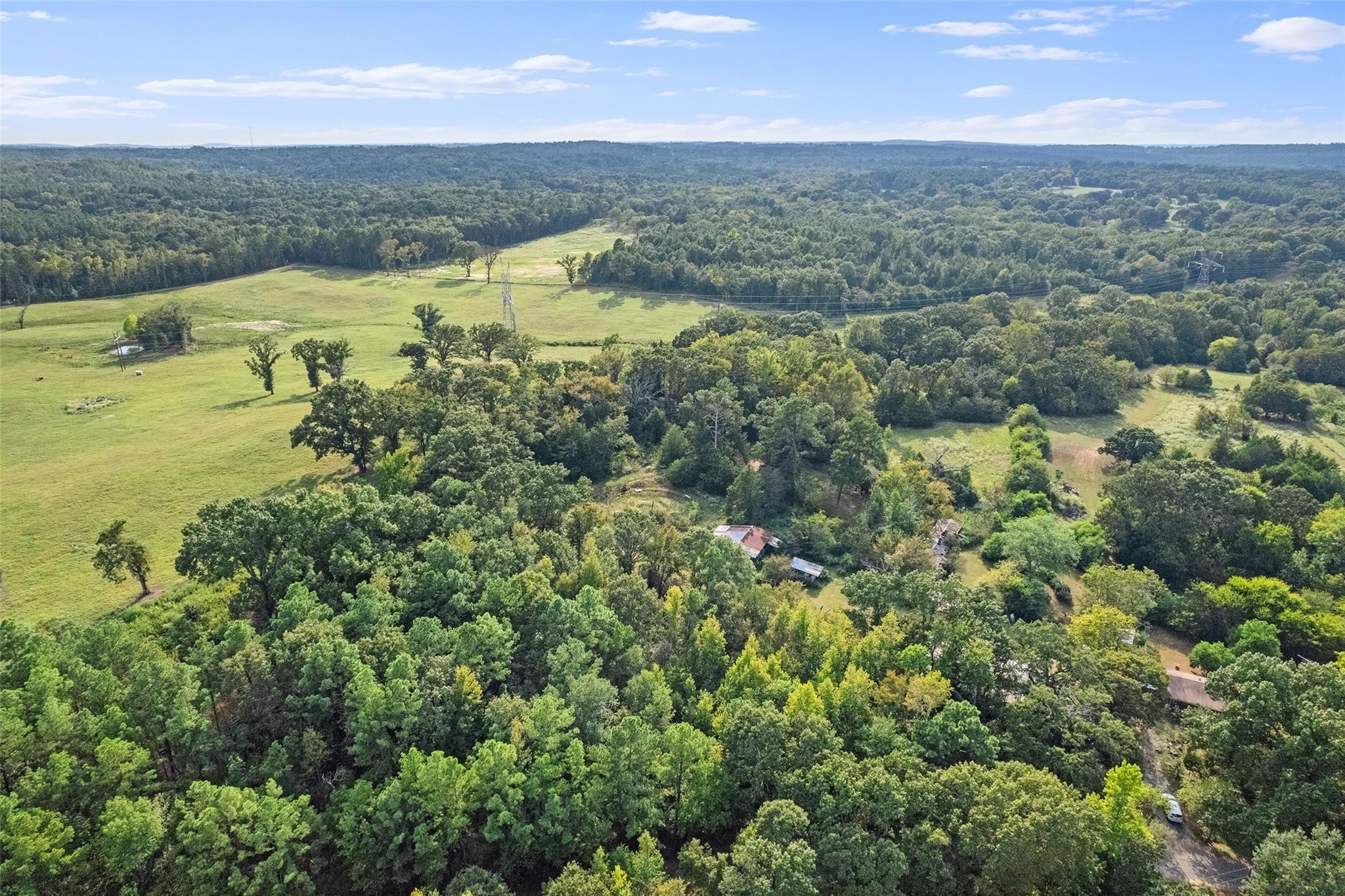 2605 Vz County Road 4923 Ben Wheeler TX 75754