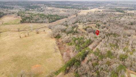 2605 Vz County Road 4923 Ben Wheeler TX 75754