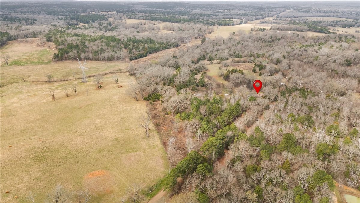 2605 Vz County Road 4923 Ben Wheeler TX 75754