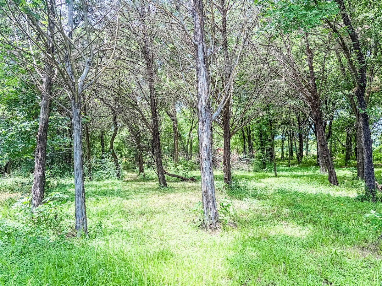 1345 Lcr 498 Mexia TX 76667