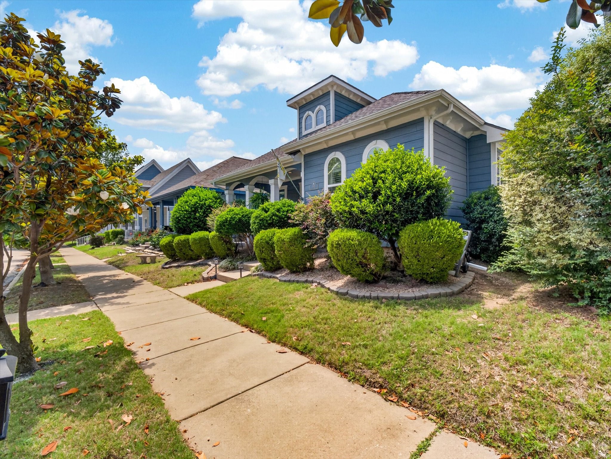 1405 Cherokee Rose Trail Savannah TX 76227