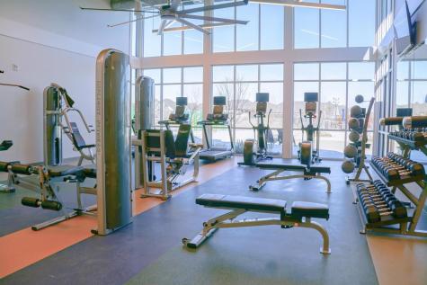 321 Bay Laurel Road Mckinney TX 75071