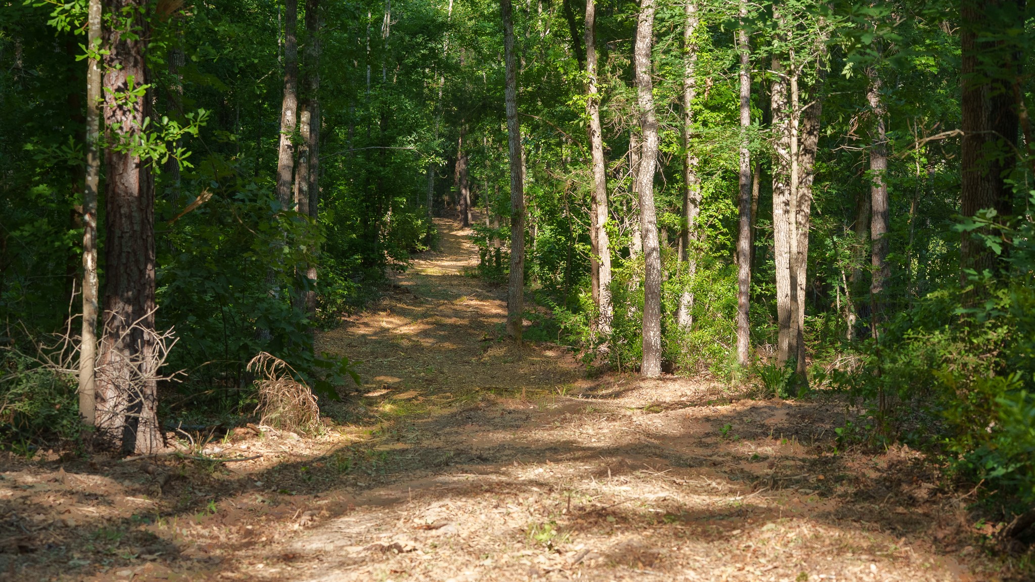 22924 County Road 223 Arp TX 75750