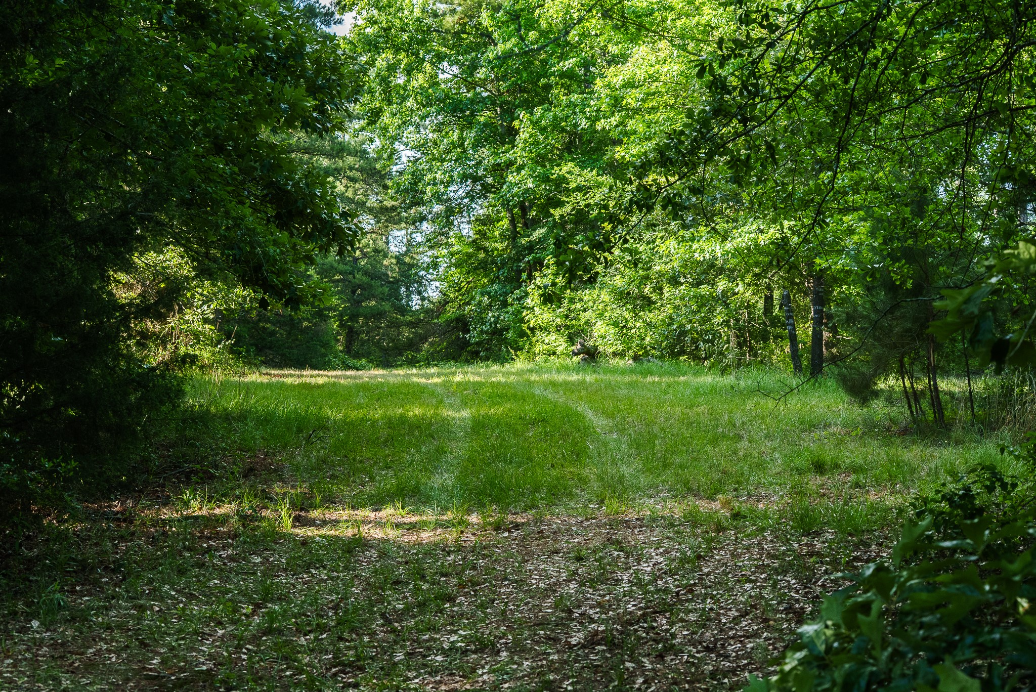 22924 County Road 223 Arp TX 75750