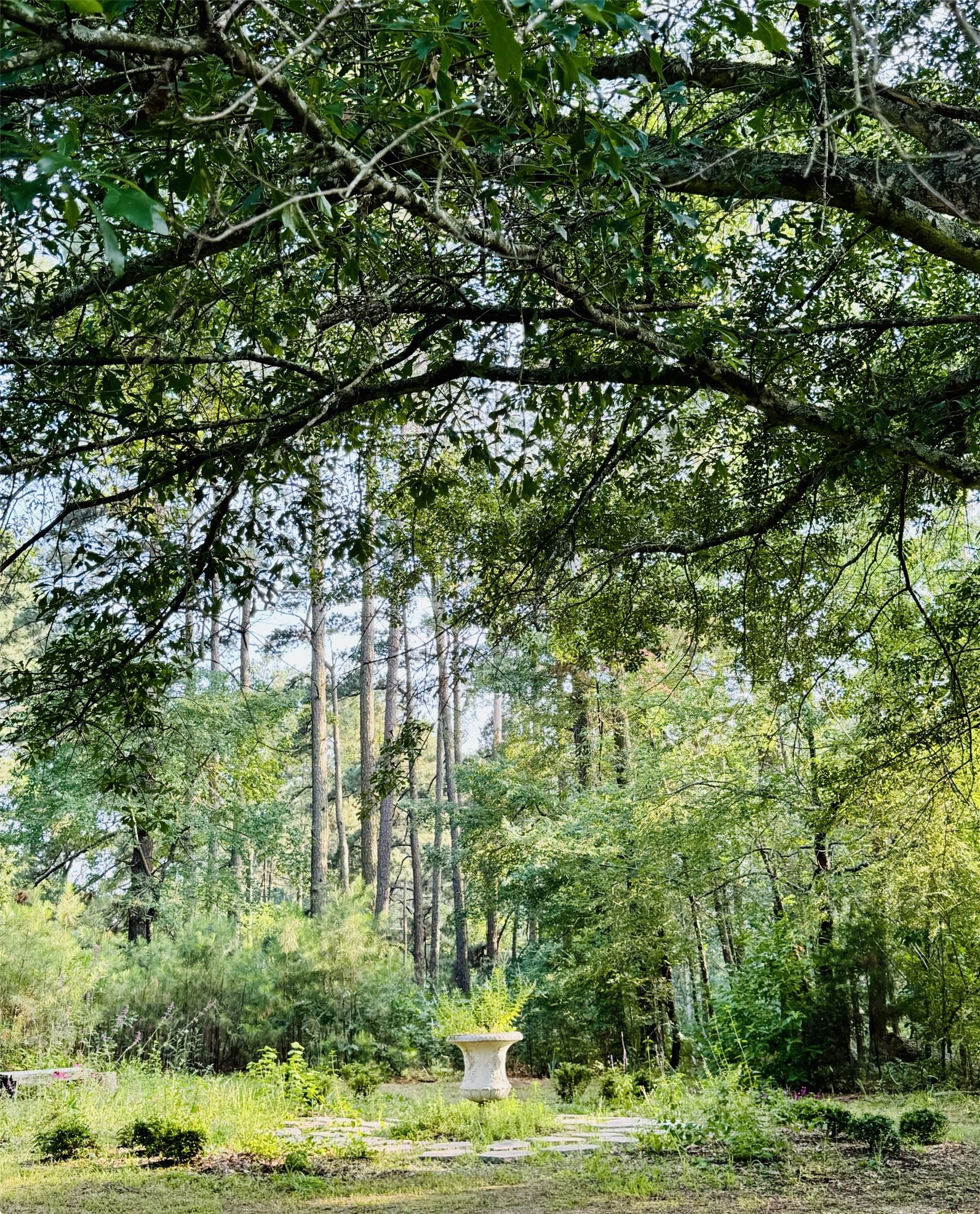 483 County Road 2140 Quitman TX 75783