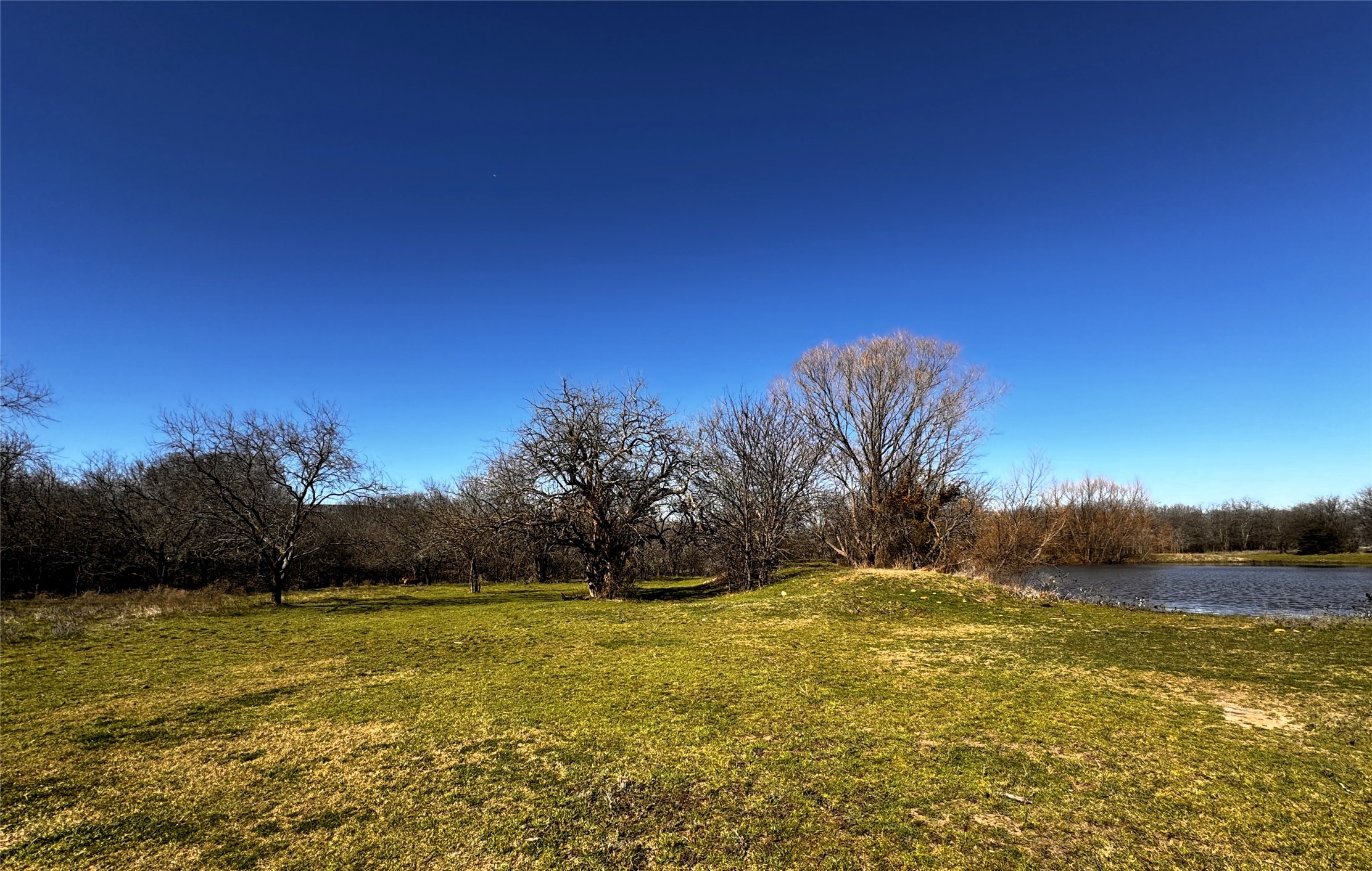 261 Vickie Lane Gunter TX 75058