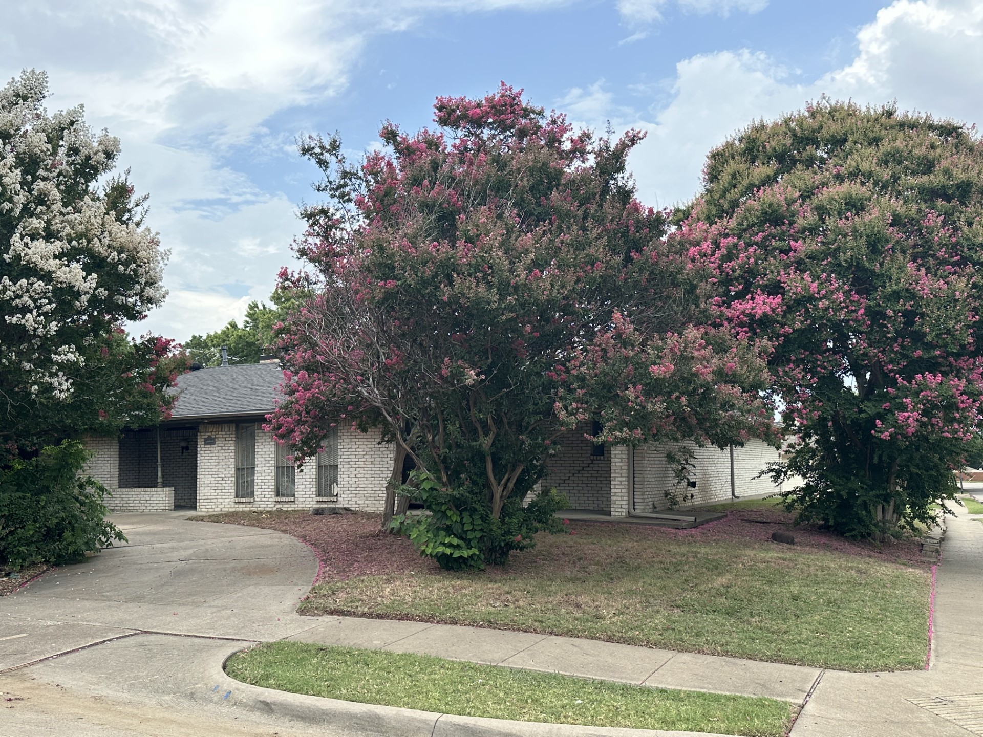 2613 Brennan Court Plano TX 75075