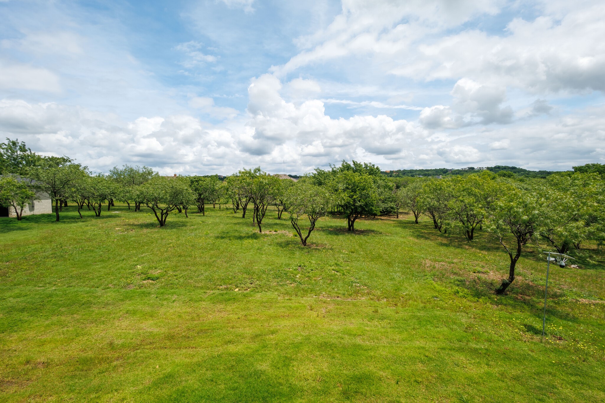 2222 Alyssum Drive Cedar Hill TX 75104
