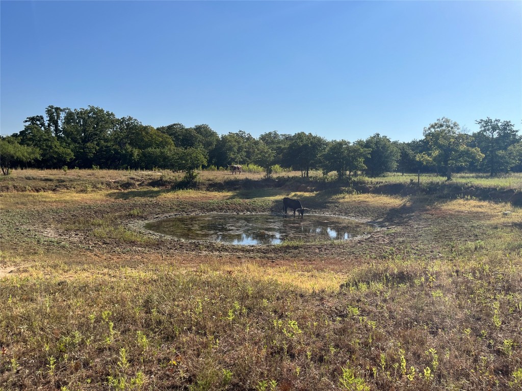 207 County Road 125 Comanche TX 76442