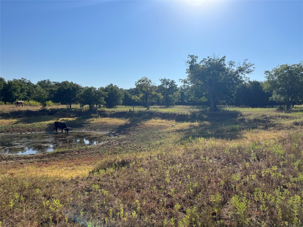 207 County Road 125 Comanche TX 76442