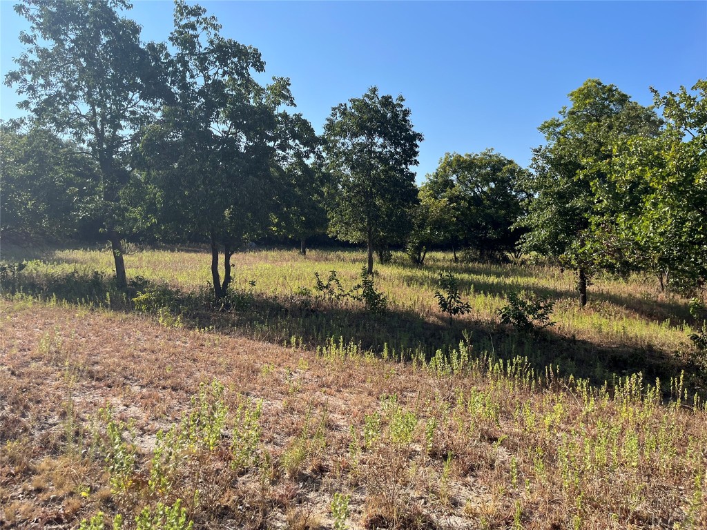 207 County Road 125 Comanche TX 76442